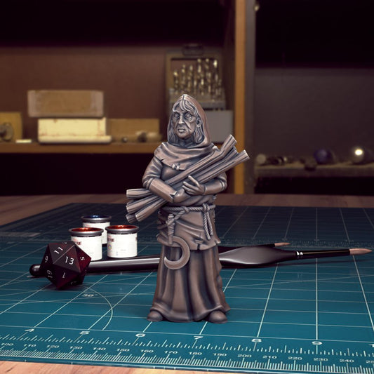 Curse of Strahd NPC, Mad Mary | DnD Character Miniature | TytanTroll Miniatures - Tattles Told 3D