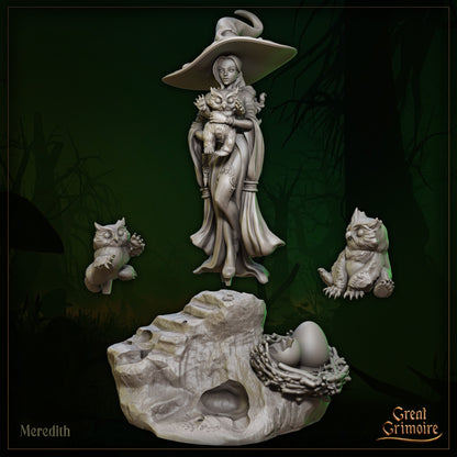 Meredith and Owlbear Cubs | D&D Gaming Miniature or Display Scale | Great Grimoire