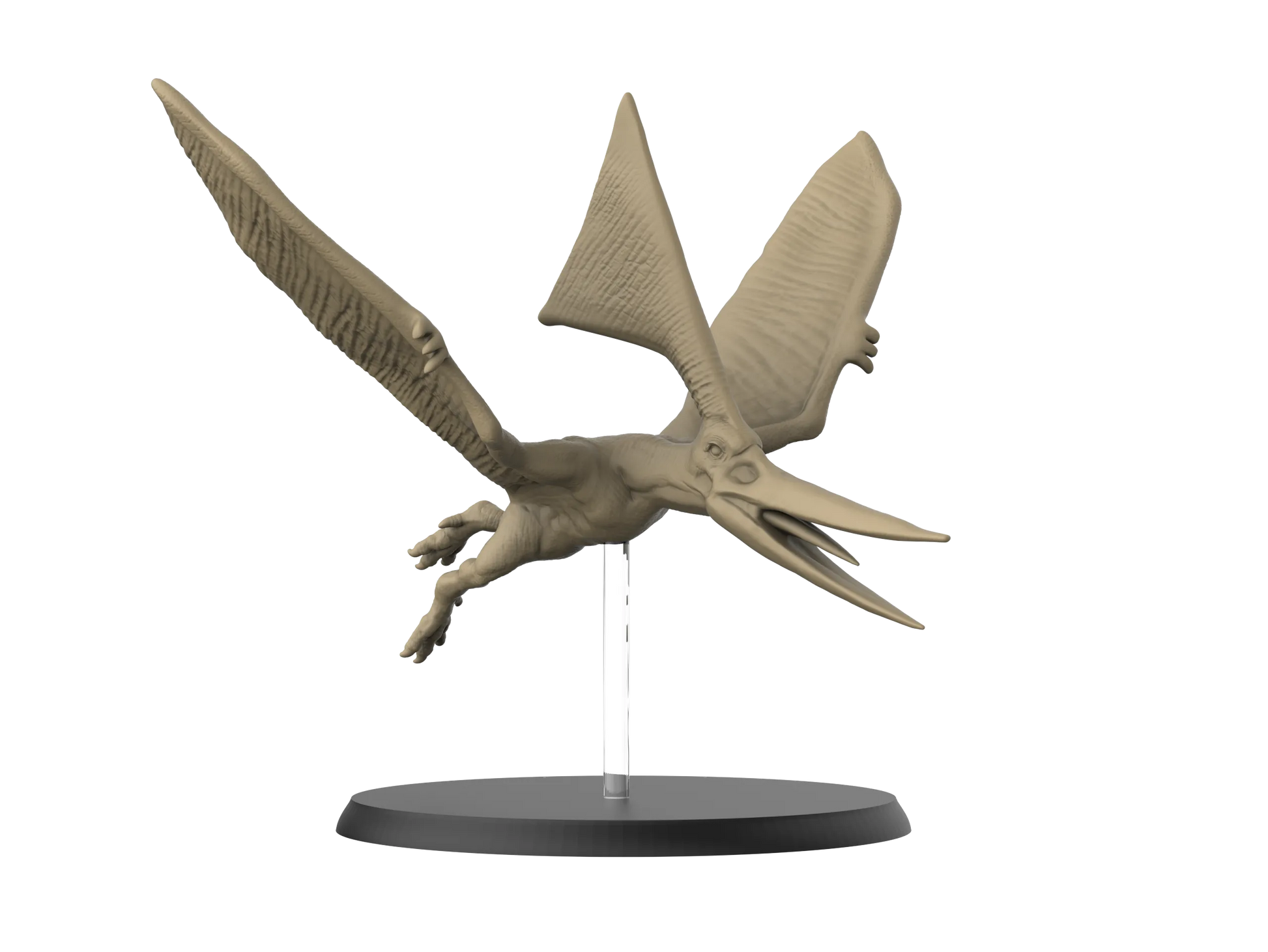 Dinosaurs, Realistic Models, Resin Printed | 32mm Tabletop Scale | 3D IPStudios