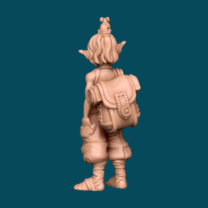 Nixie and Noodle, A Scrappy Duo | D&D TTRPG Miniature | Awkward Penguin Minis