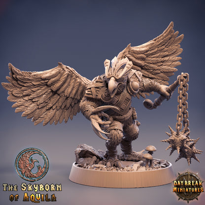 Bird Folk - The Skyborn of Aquila | Tabletop or Display Scale | D&D Mini | Daybreak Miniatures