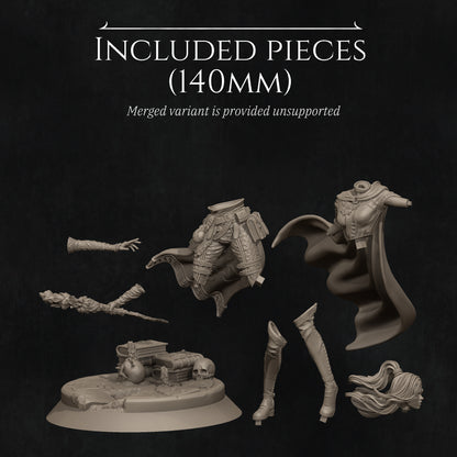 Elf Mage 2025 Update | Tabletop and Display Scales | D&D TTRPG Fantasy Miniature | Nerikson