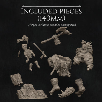 Lia The Barbarian Mercenary vs. The Stone Giant | Garage Resin Kit Statue | D&D TTRPG Fantasy | Nerikson