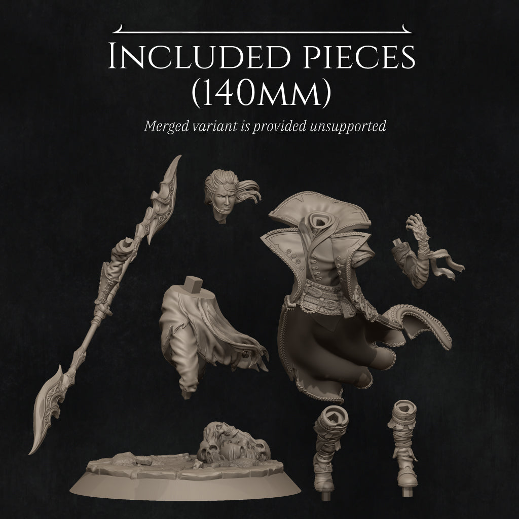 Dhampir Vampire Elf Warlock 2025 Update | Tabletop and Display Scale | D&D TTRPG Fantasy Miniature | Nerikson