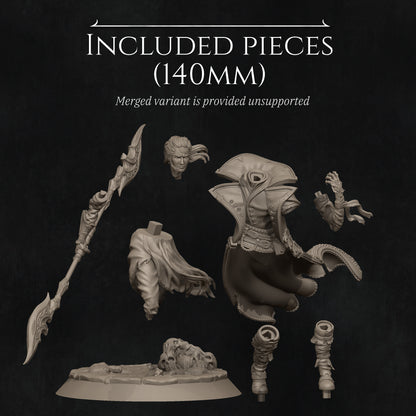 Dhampir Vampire Elf Warlock 2025 Update | Tabletop and Display Scale | D&D TTRPG Fantasy Miniature | Nerikson