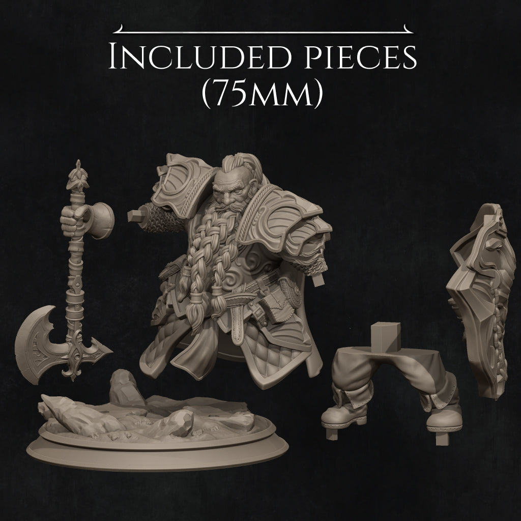 Dwarf Paladin 2025 Update | Tabletop and Display Scales | D&D TTRPG Fantasy Miniature | Nerikson