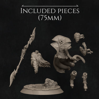 Dhampir Vampire Elf Warlock 2025 Update | Tabletop and Display Scale | D&D TTRPG Fantasy Miniature | Nerikson