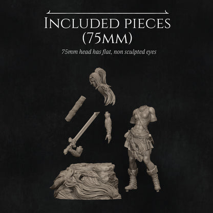 Lia The Barbarian Mercenary vs. The Stone Giant | Garage Resin Kit Statue | D&D TTRPG Fantasy | Nerikson