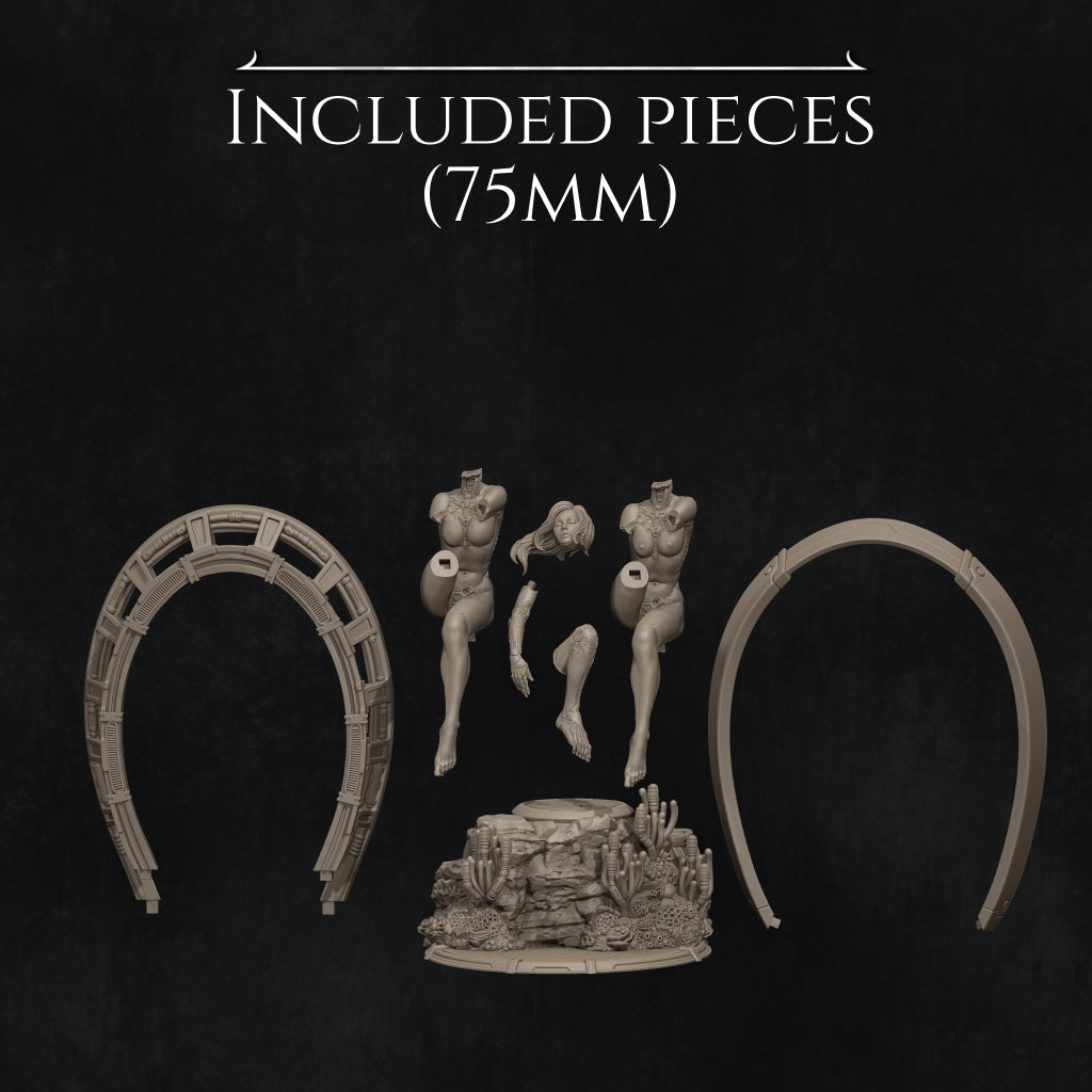 My Identity | Garage Resin Kit Statue | D&D TTRPG Fantasy | Nerikson