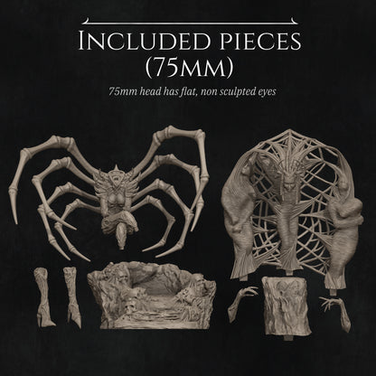 Spider Queen | Garage Resin Kit Statue | D&D TTRPG Fantasy | Nerikson