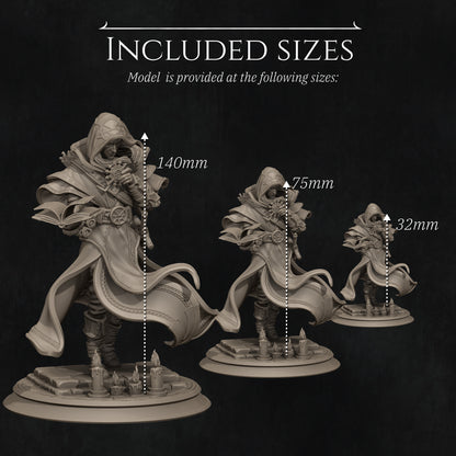 Elf Priest | Tabletop and Display Scales | D&D TTRPG Fantasy Miniature | Nerikson