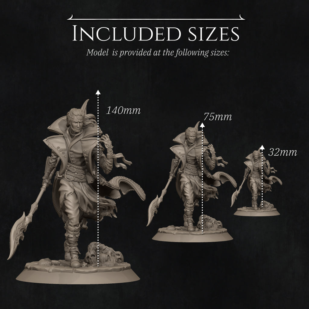 Dhampir Vampire Elf Warlock 2025 Update | Tabletop and Display Scale | D&D TTRPG Fantasy Miniature | Nerikson