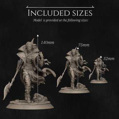 Dhampir Vampire Elf Warlock 2025 Update | Tabletop and Display Scale | D&D TTRPG Fantasy Miniature | Nerikson