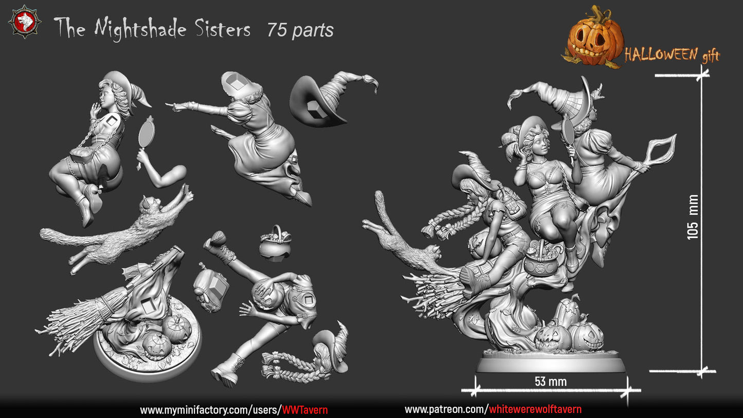 The Nightshade Sisters, Hexalia, Lyra, and Morgwen | Gaming or Display Miniature | White Werewolf Tavern