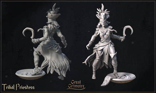 Tribal Priestess | Curse of the Celestial Children | D&D Tabletop Miniature | Great Grimoire