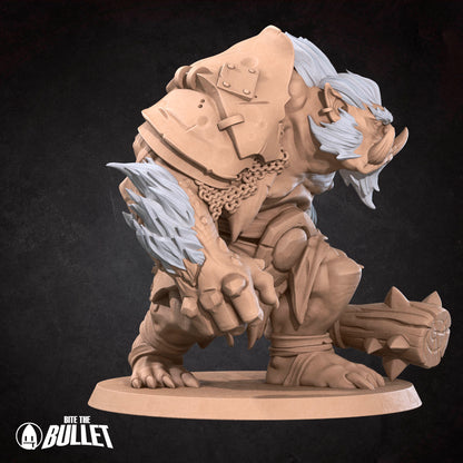 Mine, Troll | D&D TTRPG Miniature | Bite the Bullet