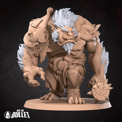 Mine, Troll | D&D TTRPG Miniature | Bite the Bullet