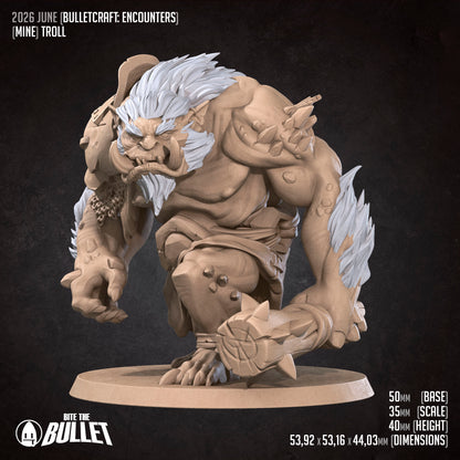 Mine, Troll | D&D TTRPG Miniature | Bite the Bullet