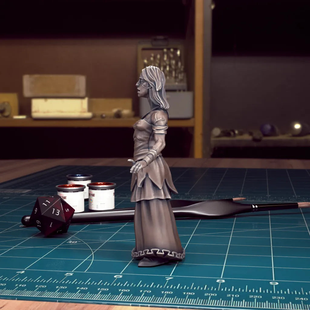 CoS Vasilka | D&D TTRPG Mini | TytanTroll Miniatures
