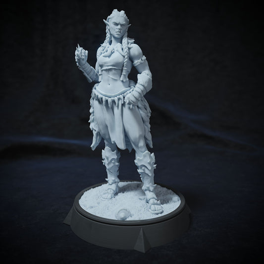 Vhok Ironfist, Hero | DnD Miniature Character | Cripta Studios - Tattles Told 3D