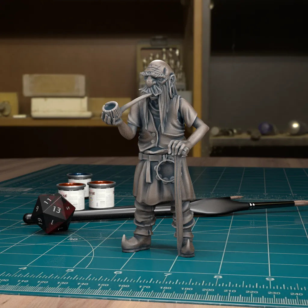 CoS Vistani | D&D TTRPG Mini | TytanTroll Miniatures