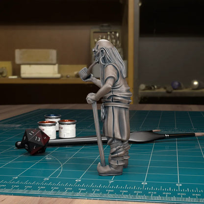 CoS Vistani | D&D TTRPG Mini | TytanTroll Miniatures