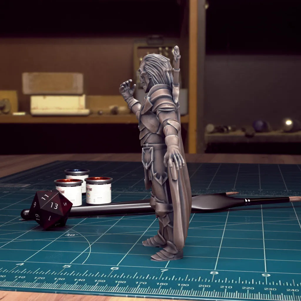 CoS Sir Vladimir Horngaard | D&D TTRPG Mini | TytanTroll Miniatures