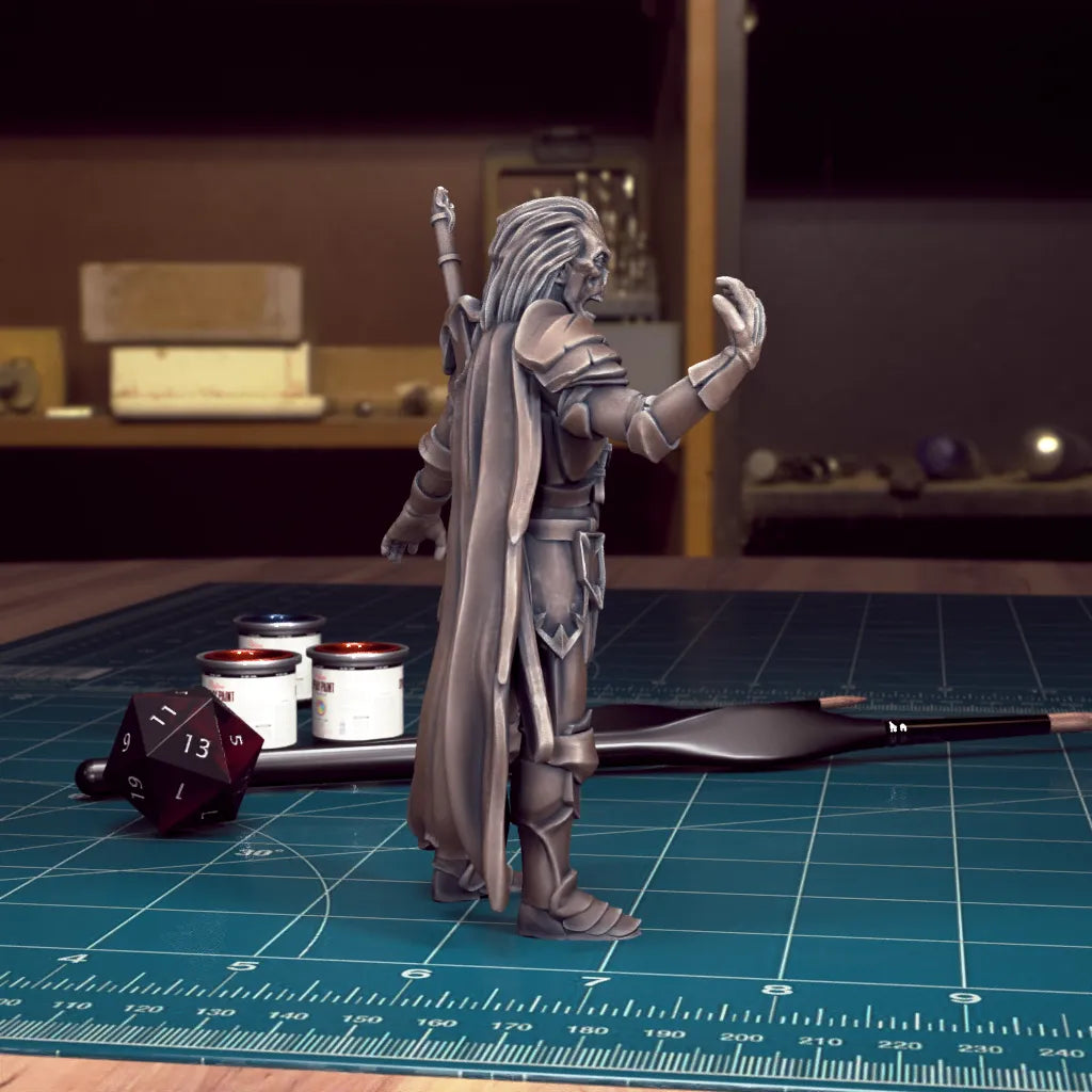 CoS Sir Vladimir Horngaard | D&D TTRPG Mini | TytanTroll Miniatures