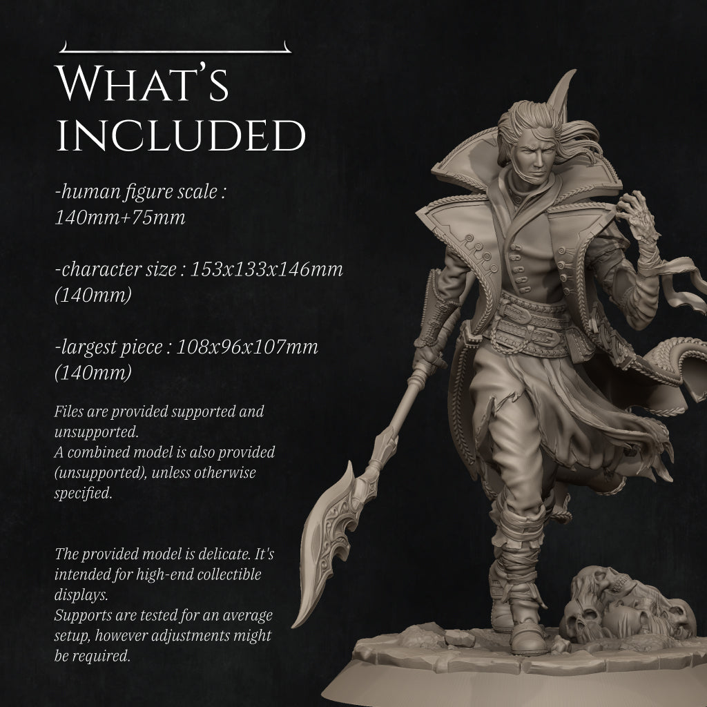 Dhampir Vampire Elf Warlock 2025 Update | Tabletop and Display Scale | D&D TTRPG Fantasy Miniature | Nerikson