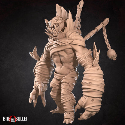 Hero Witch Doctor Summons | D&D TTRPG Miniature | Bite the Bullet