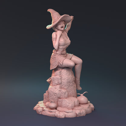 After the Rain Pin Up | D&D TTRPG Miniature | Hardwitch Games