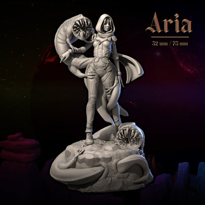 Aria | Tabletop or Display Scale | D&D TTRPG Fantasy Miniature | Dungeons and Maidens