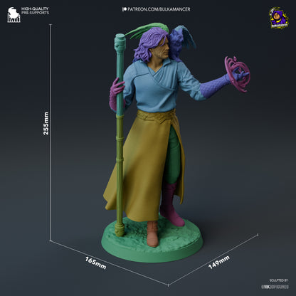Goddess-Favored Wizard | Resin Garage Kit Figure Game Fan Art | Bulkamancer Sculpts