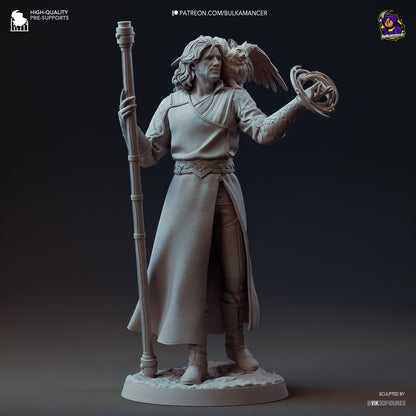 Goddess-Favored Wizard | Resin Garage Kit Figure Game Fan Art | Bulkamancer Sculpts