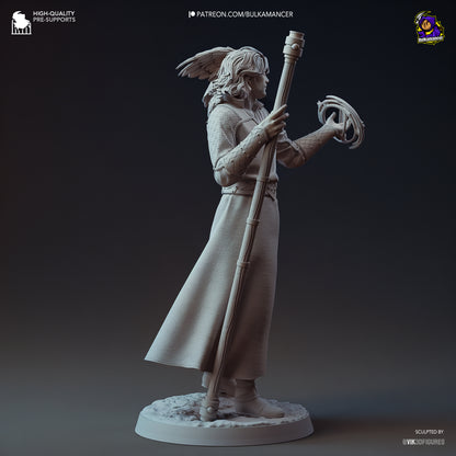 Goddess-Favored Wizard | Resin Garage Kit Figure Game Fan Art | Bulkamancer Sculpts