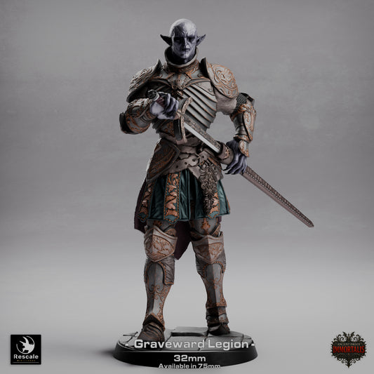 Graveward Legion, Ancient Order Immortalis | D&D TTRPG Miniature | Rescale Miniatures | 3D Print