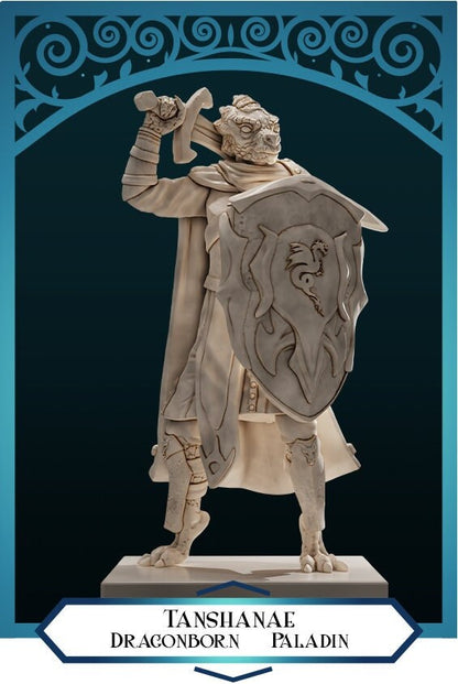 Dragonborn Paladin | D&D TTRPG Miniature | DnD Is A Woman | NO BASE