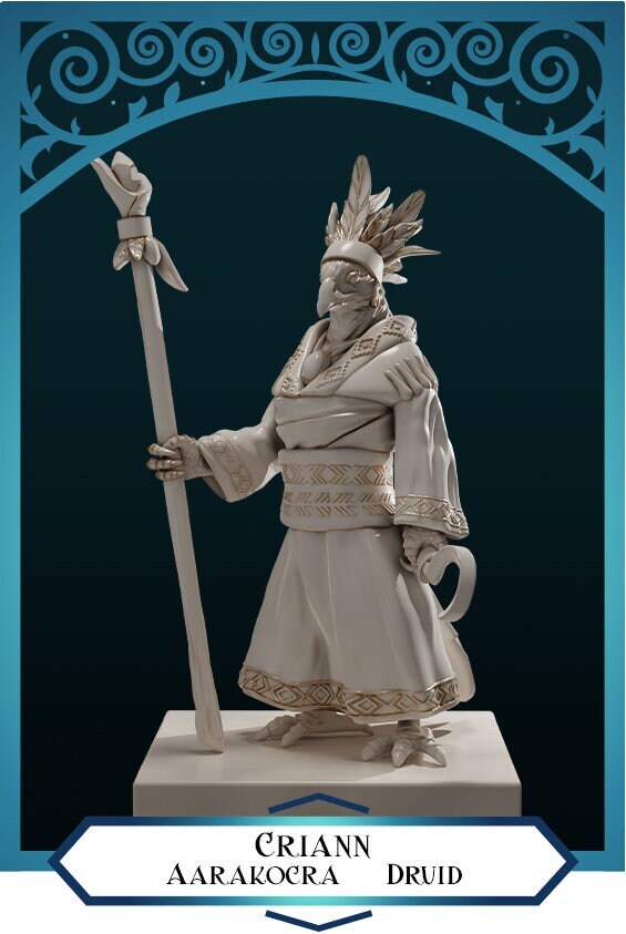 Aarakocra Druid | D&D TTRPG Miniature | DnD Is A Woman | NO BASE