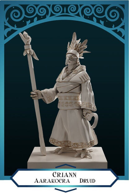 Aarakocra Druid | D&D TTRPG Miniature | DnD Is A Woman | NO BASE