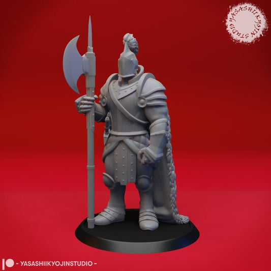 Armored Fighter | TABLETOP SCALE | D&D TTRPG Monster Miniature | Yasashii Kyojin Studio