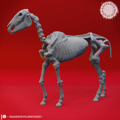 Skeleton Horse | TABLETOP SCALE | D&D TTRPG Monster Miniature | Yasashii Kyojin Studio