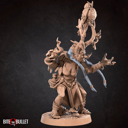 Amazon Elder, Agatha | D&D TTRPG Miniature | Bite the Bullet