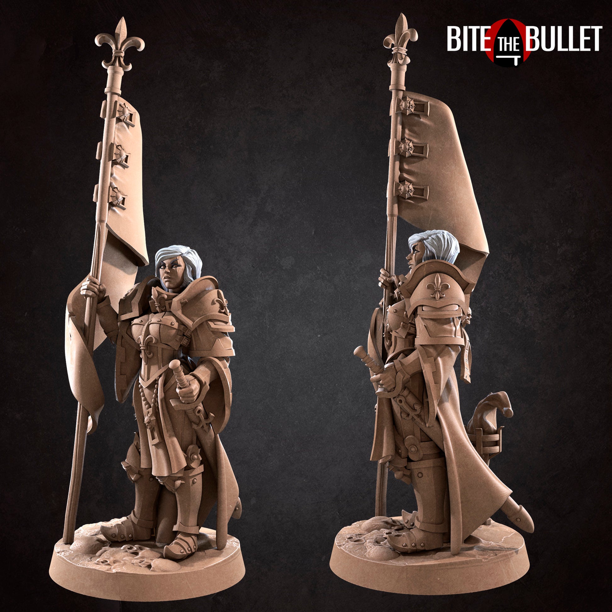 Battle Sisters Banner Bearer | D&D TTRPG Miniature | Bite the Bullet