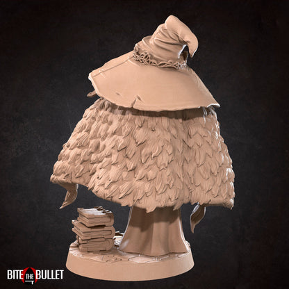 Magi, Blue Two-Faced Witch | TABLETOP SCALE | D&D TTRPG Miniature | Bite the Bullet | Unpainted, Unplated Resin 8k