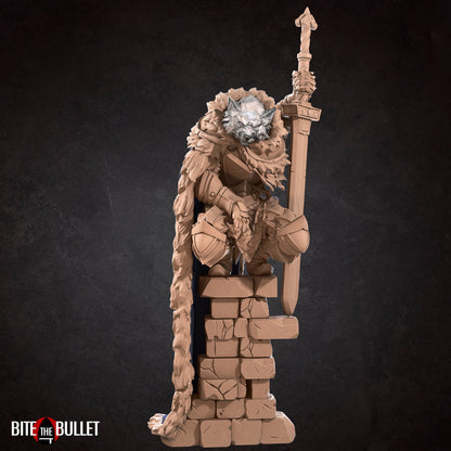 Bullet Dark Souls, Raidd | TABLETOP SCALE | D&D TTRPG Miniature | Bite the Bullet