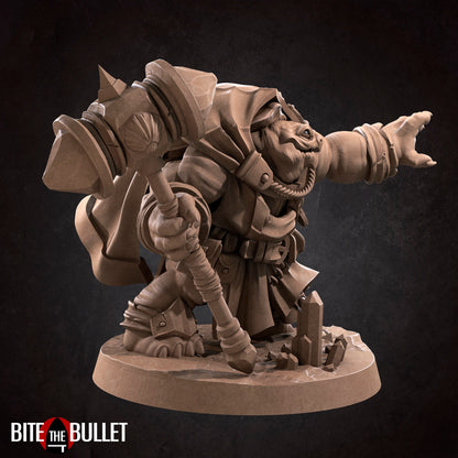 Tortle Cleric | Tabletop Scale | DnD TTRPG Miniature | Bite the Bullet