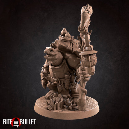 Tortle Druid | TTRPG Miniature | Bite the Bullet | Unpainted, Unplated Resin 8k