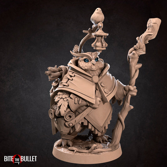 Uka, Forest Keeper Owlfolk | TABLETOP SCALE | D&D TTRPG Miniature | Bite the Bullet | Unpainted, Unplated Resin 8k