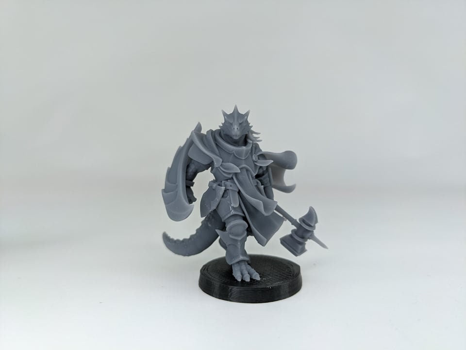 Dragonfolk | TABLETOP SCALE | D&D Miniature | Manuel Boria | Unpainted, Unplated Resin 8k