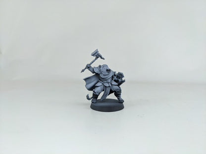 Lionfolk Collection | TTRPG D&D Miniature | Manuel Boria